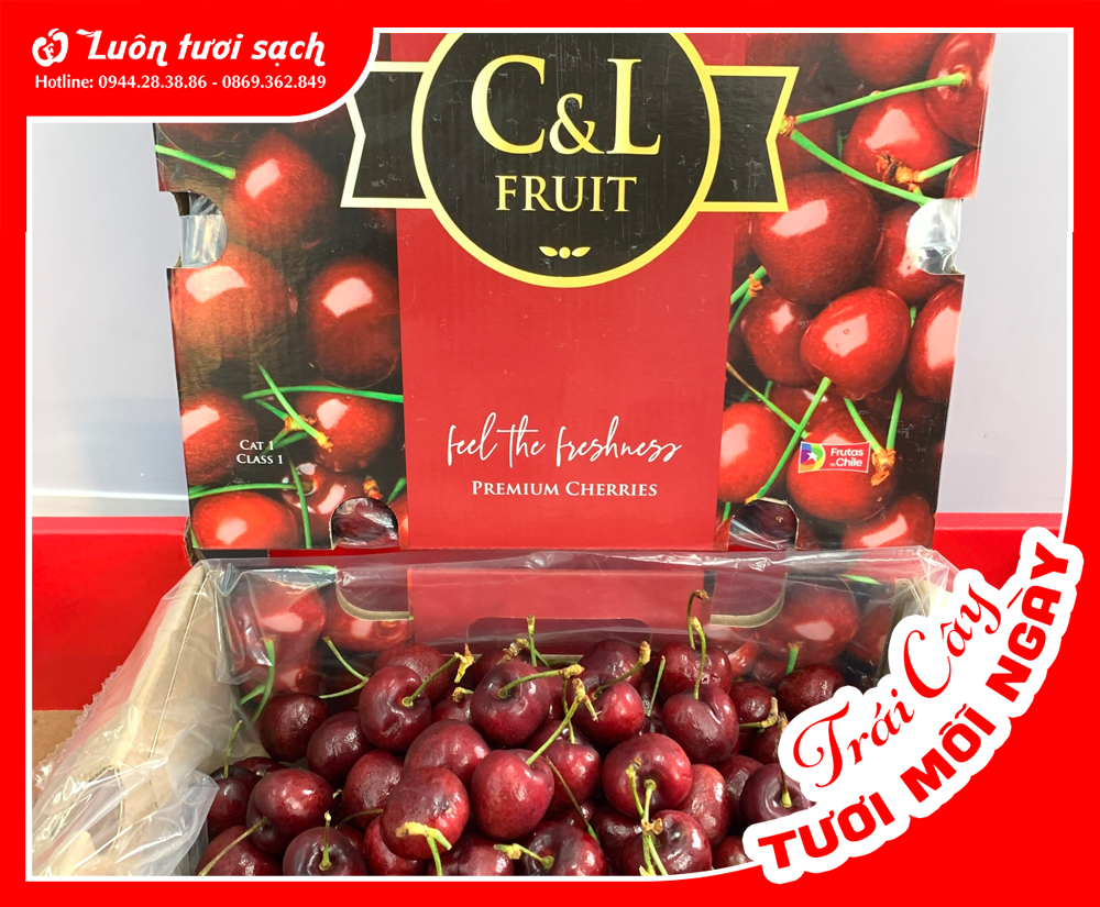 Hộp Cherry C&L Chile 2,5kg